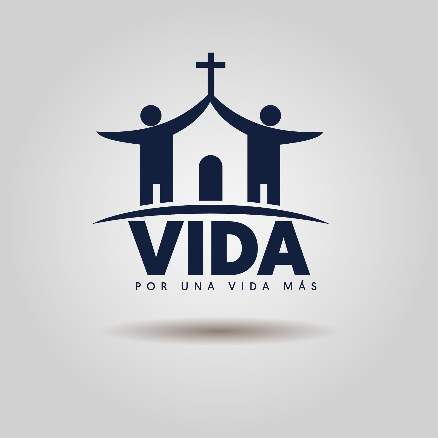 Vida-S